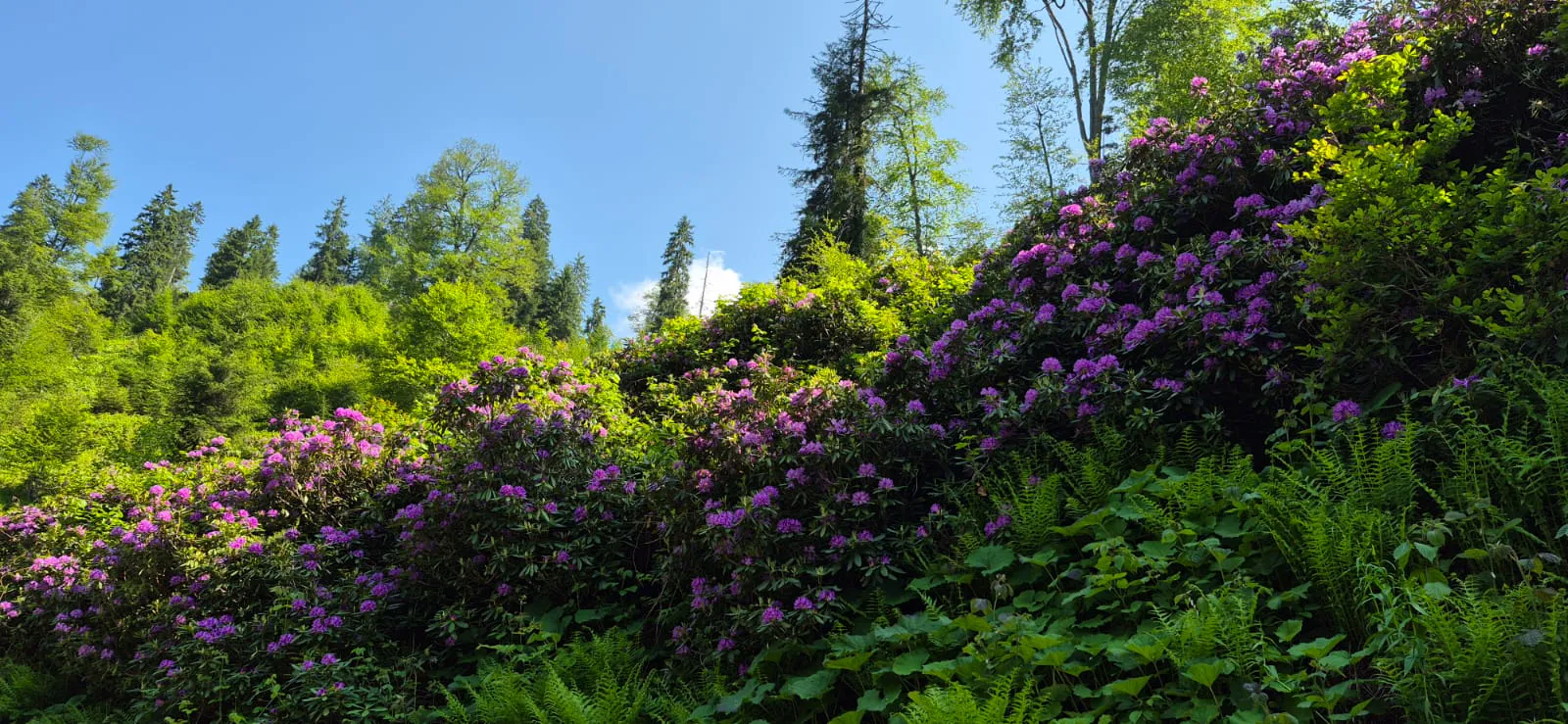 Bee hive and honey production